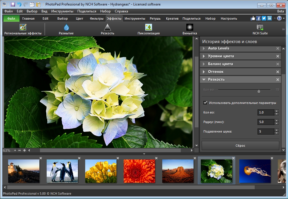 Image editor. Редактор изображений. Стандартный редактор изображений. PC редактор. Nch PHOTOPAD.